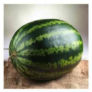 Watermelon Approx. 4 kg to 5 kg